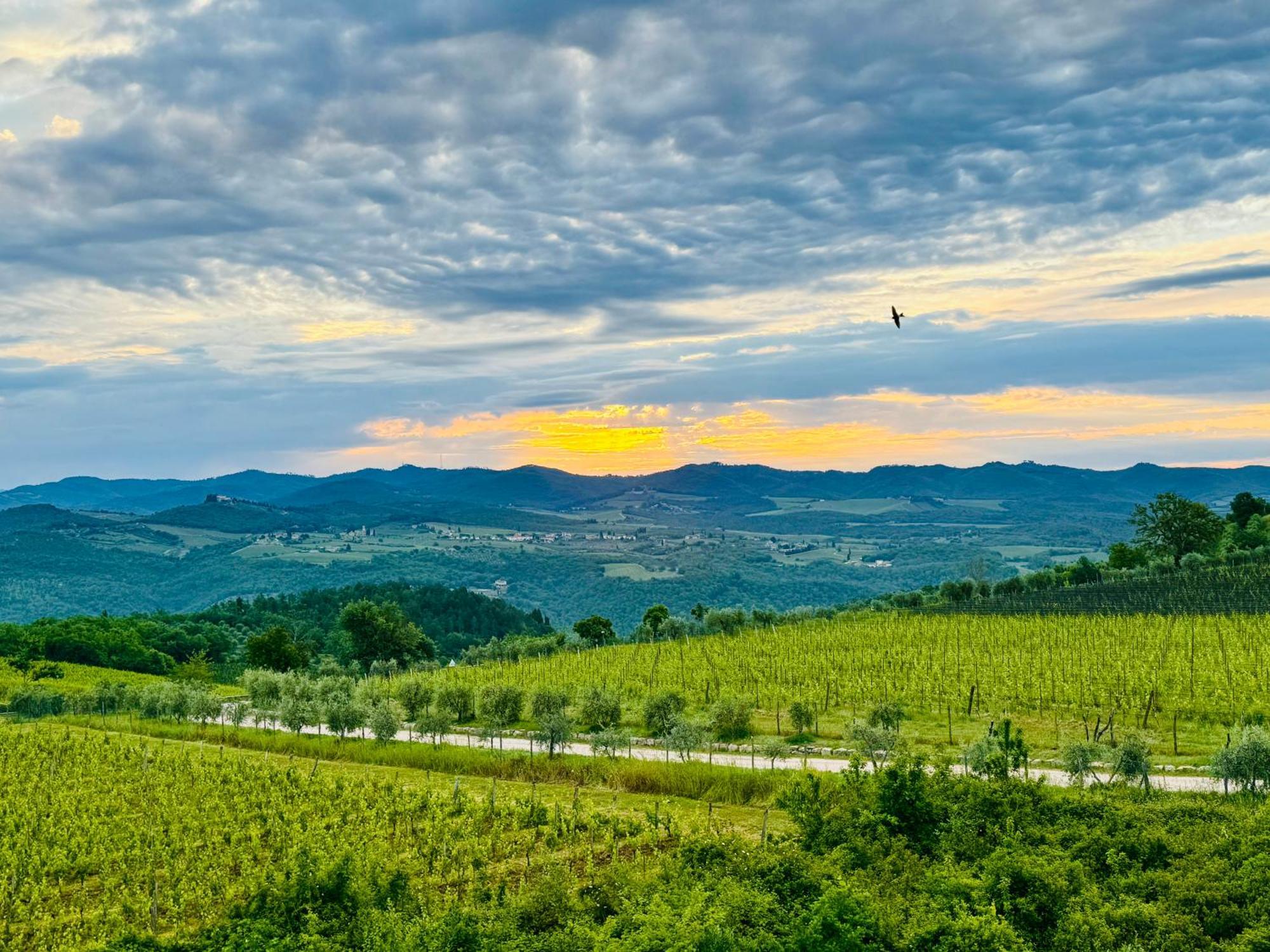 Libertas Tuscan Hideaway San Sano Buitenkant foto